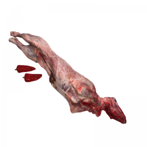 Fresh or chilled lamb carcases and half-carcases